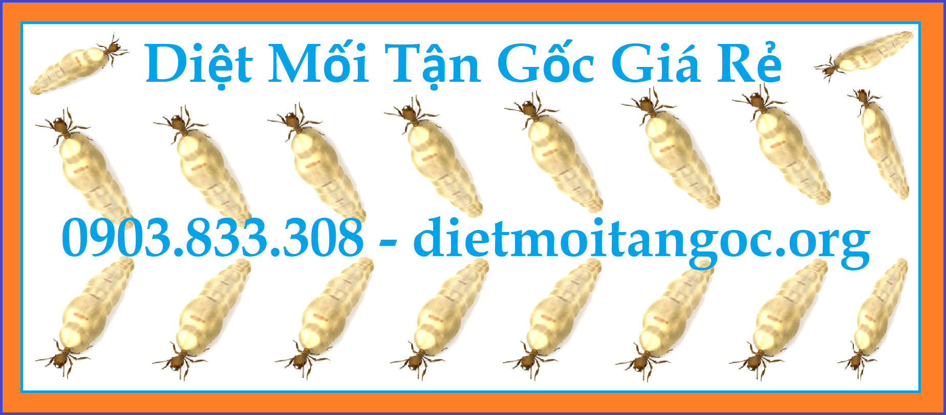 Diệt mối Giá rẻ Huyện Củ Chi