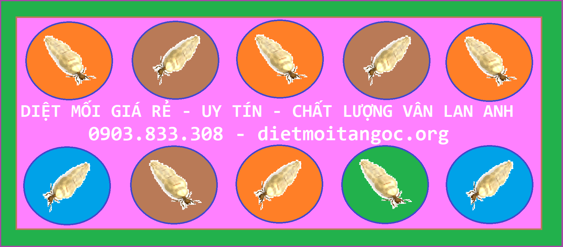 Diệt mối Tận gốc Giá rẻ Củ Chi